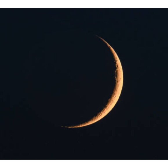 Sara Coventry MARKED Silver-Tone Crescent Moon Brooch With Lattice Design - Picture 3 of 9